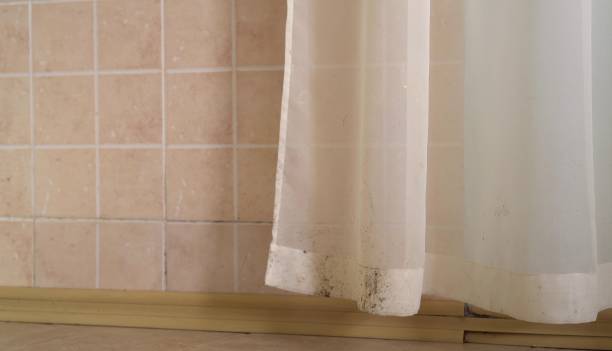 Best HVAC Mold Inspection and Cleaning  in Bangor, ME