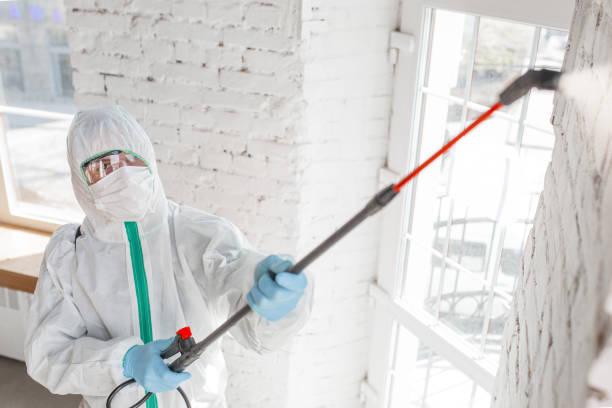 Best Dehumidification Services  in Bangor, ME