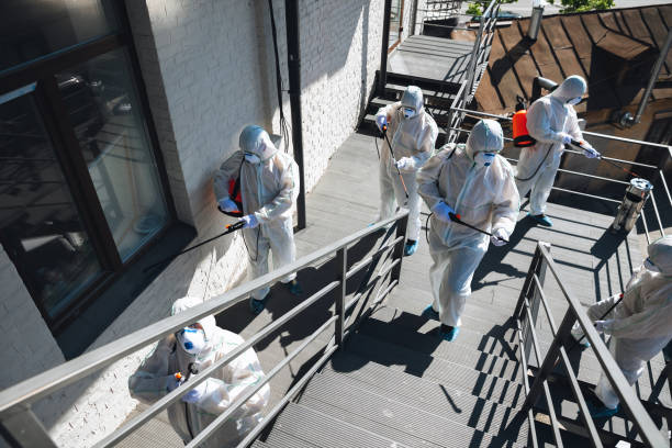 Bangor, ME Mold Removal Company
