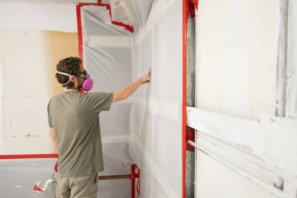 Best Mold Damage Restoration  in Bangor, ME