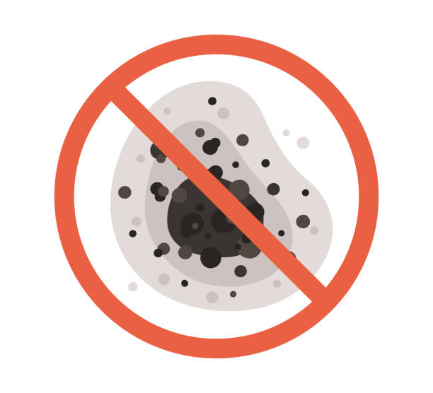 Best Mold Prevention Services  in Bangor, ME