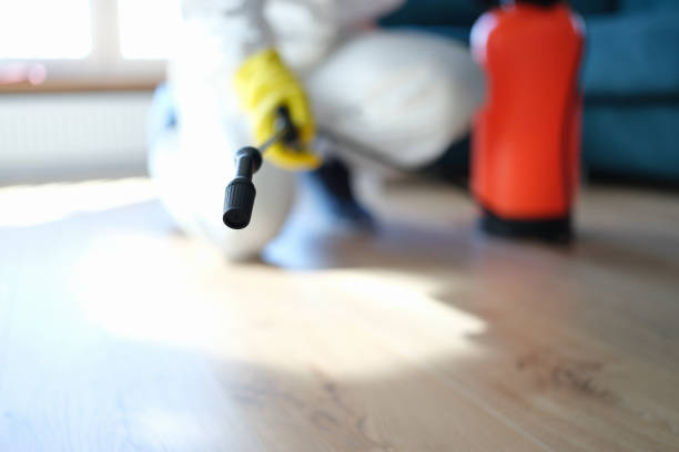 Best Post-Remediation Verification Testing  in Bangor, ME