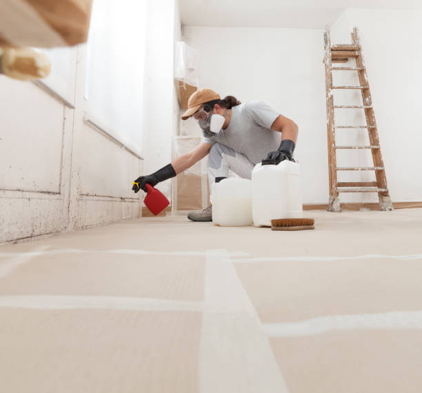 Best Post-Construction Mold Inspection  in Bangor, ME